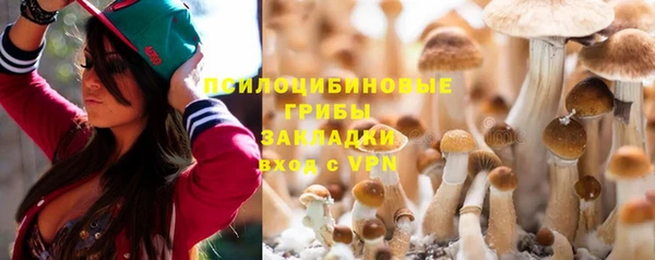 ешки Покровск
