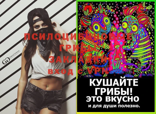 СК Алзамай