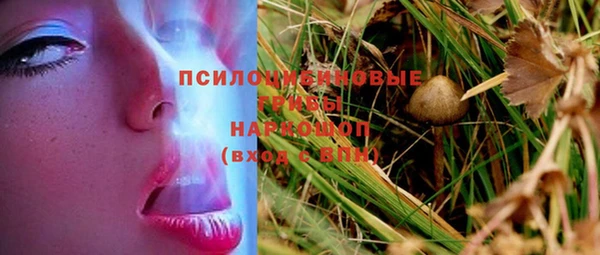 экстази Покачи